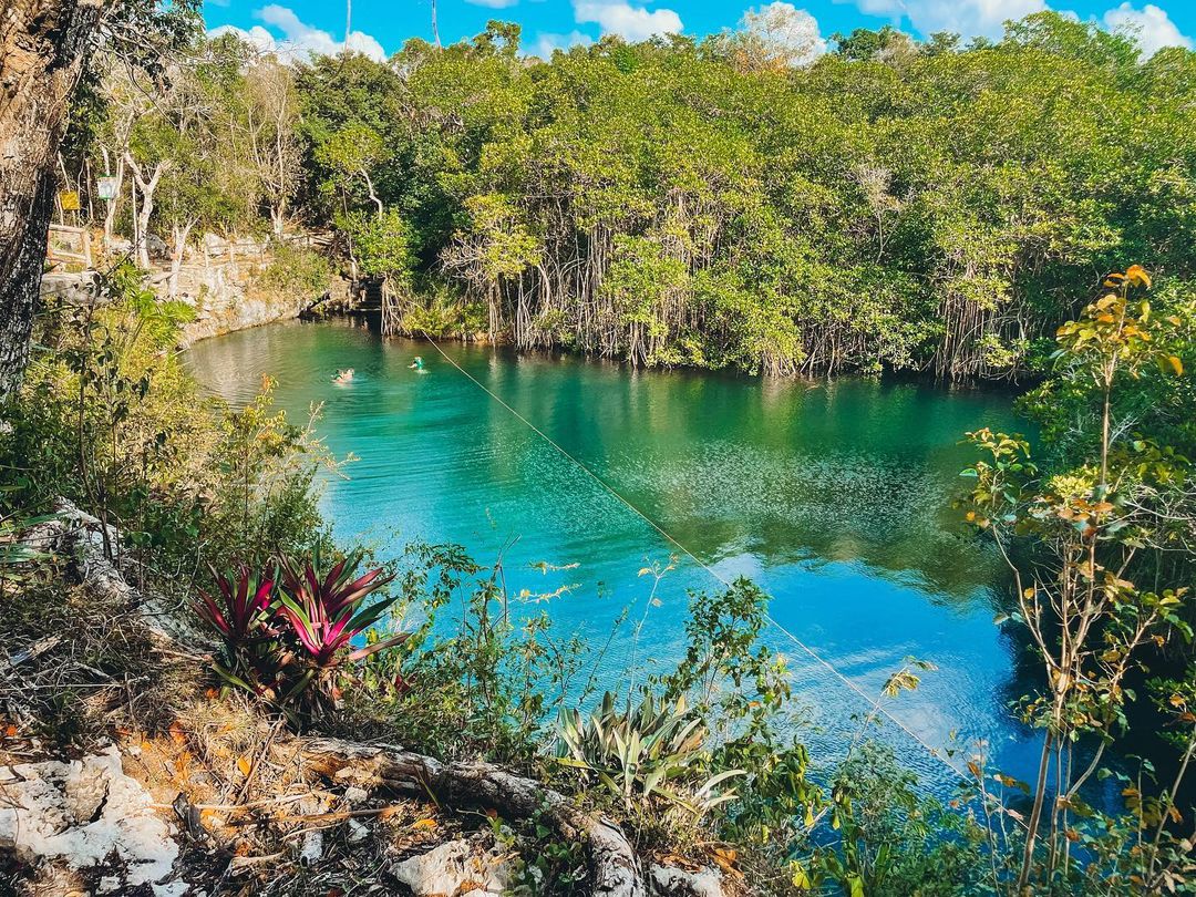 Above & Below Cenote Tour